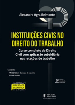 Instituições civis no direito do trabalho