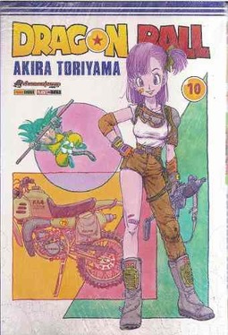 Dragon Ball Vol. 10
