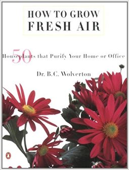 How to Grow Fresh Air: 50 House Plants that Purify Your Home or Office