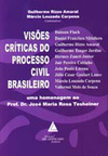 Visões críticas do processo civil brasileiro: Uma homenagem ao Prof. Dr. José Maria Rosa Tesheiner