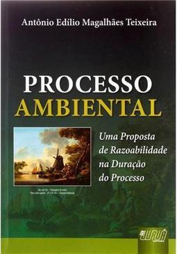 Processo Ambiental: Uma Proposta de Razoabilidade