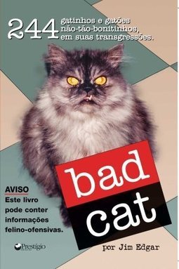 Bad Cat
