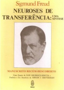 Neuroses de transferência: Uma síntese
