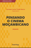 Pensando o cinema moçambicano: ensaios