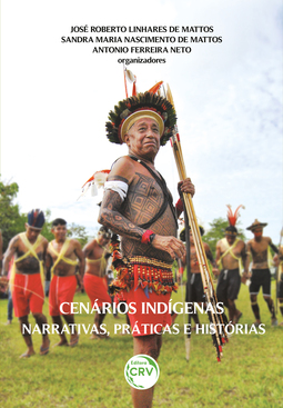 Cenários indígenas: narrativas, práticas e histórias