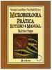 Microbiologia Prática: Roteiro e Manual: Bactérias e Fungos