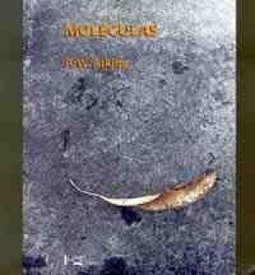 Moléculas