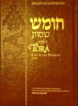 Torá (Bereshit)