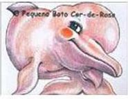 O Pequeno Boto Cor-de-Rosa