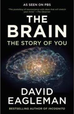 THE BRAIN