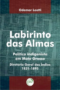 Labirinto das almas: política indigenista em Mato Grosso
