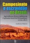 Campesinato e escravidão no Brasil: agricultores livres e pobres na capitania geral de Pernambuco (1700-1817)