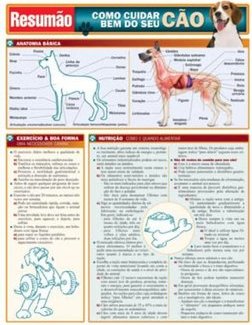 Resumão: Como Cuidar Bem do Seu Cão