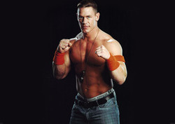 MEGA CENA