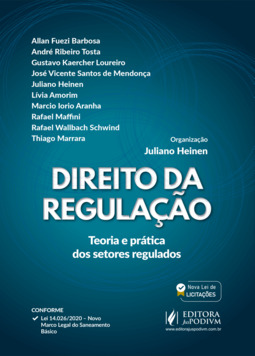 Direito da regulação - Teoria e prática dos setores regulados