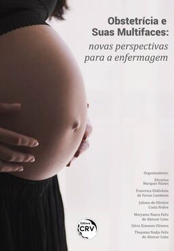 Obstetrícia e suas multifaces: novas perspectivas para a enfermagem