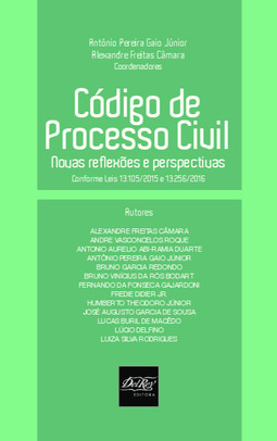 Código de Processo Civil: novas reflexões e perspectivas