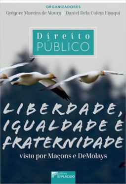 Direito público: liberdade, igualdade e fraternidade visto por maçons e demolays