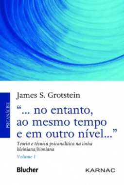 "... no entanto, ao mesmo tempo e em outro nível...": teoria e técnica psicanalítica na linha kleiniana/bioniana