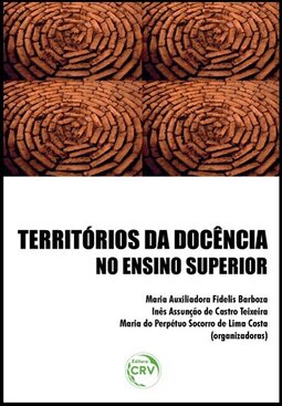 Territórios da docência no ensino superior