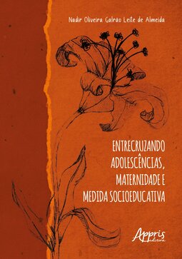 Entrecruzando adolescências, maternidade e medida socioeducativa