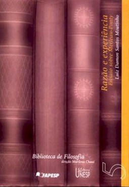 Razão e experiência: ensaio sobre merleau-ponty