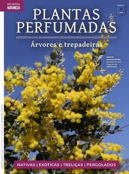 Plantas perfumadas - Árvores e trepadeiras