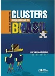 Clusters Empresariais no Brasil : Casos Selecionados