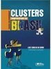 Clusters Empresariais no Brasil : Casos Selecionados