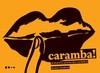 Caramba!: a história secreta dos carimbos