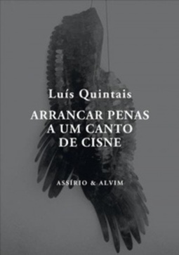 Arrancar penas a um canto de cisne