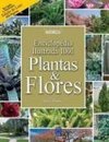 ENCICLOPEDIA ILUSTRADA 1001 - PLANTAS E FLORES