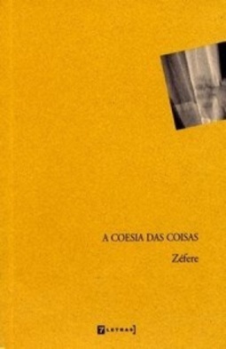 A coesia das coisas