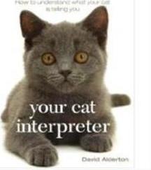 YOUR CAT INTERPRETER