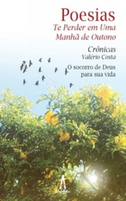 TE PERDER EM UMA MANHA DE OUTONO #1