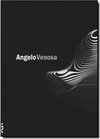 Angelo Venosa: A Febre Da Materia