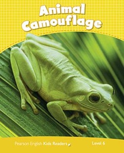 Animal camouflage: Level 6