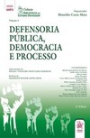 Defensoria pública, democracia e processo