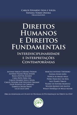 Direitos humanos e direitos fundamentais: interdisciplinaridade e interpretações contemporâneas