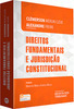 Direitos Fundamentais e Jurisdição Constitucional