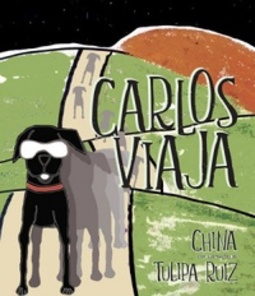 Carlos Viaja