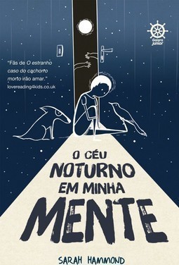 O céu noturno em minha mente
