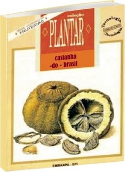 Castanha-do-Brasil