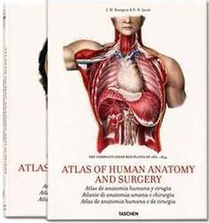 Atlas of Human Anatomy And Surgery