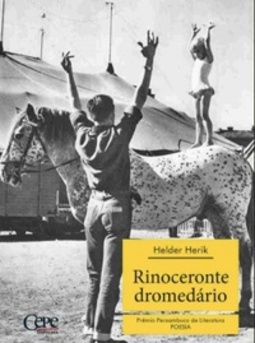 Rinoceronte Dromedário