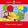 What color, Spot? - Beginner