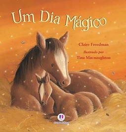Um dia mágico