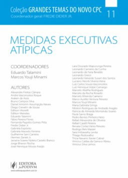 Medidas executivas atípicas