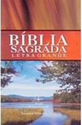 Bíblia Sagrada: Letra Grande - Riacho