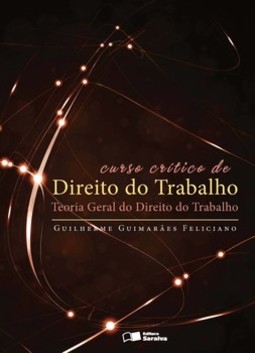 Curso crítico de direito do trabalho: teoria geral do direito do trabalho